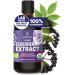 Organic Elderberry Syrup USDA Certified 3.4 fl oz Bottle Liquid Sambucus Elderberry Immune Support Supplement for Kids and Adults Alcohol-Free European Origin Elderberries Extract High Bioavailability Elderberry 3.4 Fl Oz (