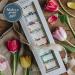 Whittard of Chelsea Tea Discoveries Gift Set - 8 Flavours x 5 Teabags | Black & Green Teas for Vegans & Vegetarians - Buy Online on GoSupps.com