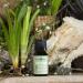 100% Pure Vetiver Essential Oil - Organic Relaxation Oil for Diffusers Farm-Fresh from Thailand 10ml - Buy Online on GoSupps.com
