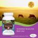 Perfect Supplements Perfect Desiccated Liver 120 Capsules Undefatted Beef Liver Natural Source of Protein Iron Vitamins A & B 2 Pack 2 Count (Pack of 120) - Buy Online on GoSupps.com