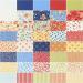 Joanna Figueroa Fruit Cocktail Charm Pack - 42-5 Fabric Quilt Squares - Buy Online on GoSupps.com