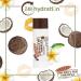 Palmer's Coconut Oil Formula Lip Balm SPF 15 - Nourishing Hydration (0.15 oz) - Best for Dry Lips | Shop Internationally - Buy Online on GoSupps.com