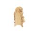 COVERGIRL Glitzy Gold Eyeshadow Kit - 1 Color Eye Enhancers - 1 Count Pack - Buy Online on GoSupps.com