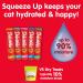 Hartz Delectables Squeeze Up Interactive Lickable Wet Cat Treats Chicken 64 Count Chicken 1 g (Pack of 64) - Buy Online on GoSupps.com