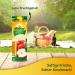 Buy Pfanner 100% Apple Juice - Classic Fruit Juice No Added Sugar - 2L Pack | International Shipping - Buy Online on GoSupps.com