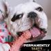 Tasty Trio Bone Cacahuete Mantequilla Toy - Premium Pet Chew for Dogs | Buy Online Worldwide - Buy Online on GoSupps.com