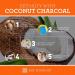 Coconut Charcoal Capsules by Dr. Amy Myers - Natural Gas Relief & Toxin Support - 60 Capsules - Buy Online on GoSupps.com