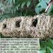 Hand-Woven Eco-Friendly Teardrop Bird Hut | Hanging Grass Bird House | 100% Natural Fiber | Shelter from Cold Weather - Buy Online on GoSupps.com