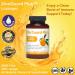 ZincGuard Plus Lozenges: Immune Support with Vitamin C & Ginger - 60 Vegan, GMO-Free Orange Lozenges - Buy Online on GoSupps.com