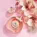 Guess Bella Vita Rosa Fragrance Mist 8.4 Fl Oz - Buy Online on GoSupps.com