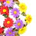 Honbay 5PCS Daisy Flower Bohemian Crown Headband Set with Elastic Ribbon - Buy Online on GoSupps.com