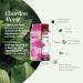 SUPERDIET ORGANIC MILK THISTLE - Liver protection Herbal medicine Made in France 90 capsules - Buy Online on GoSupps.com