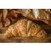 LA PLANTIGO (1000) White Sesame Seeds 1kg - Buy Online on GoSupps.com