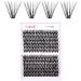Durable 30D & 40D Cluster Lashes | 0.07 D Curl 16mm Extensions | 200Pcs for DIY Eyelash Extensions at Home - Buy Online on GoSupps.com