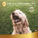 Natural Dog Fur Spray - Loosens Dismantles & Smoothens Fur | 250ml | With Vegetable Oils for Shiny Tangle-Free Coats - Buy Online on GoSupps.com