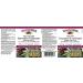 Natural Factors ResveratrolRich Super Strength Concentrate - 60 Vegan Capsules for Antioxidant Support - Buy Online on GoSupps.com