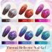 MSRUIOO Color Changing Reflective Gel Nail Polish - Temperature Activated Glitter Polish - Diamond Glitter Silver Pink Purple - Color Changing Gel - Buy Online on GoSupps.com