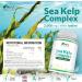 Sea Kelp Tablets 2000mg - 365 Vegan Tablets - High Strength Iodine Supplement for Thyroid Support - Non GMO - Natural Source from Wild Harvested Seaweed - Buy Online on GoSupps.com