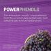 ReserveAge Nutrition Resveratrol 100 mg - 60 Veggie Capsules for Antioxidant Support - Buy Online on GoSupps.com