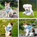 Shop BriFit Cat Dishes - Leash-Resistant Adjustable Cat Vest & Harness | Reflective Stripes for Cats & Puppies | Blue XS - International Shipping Available - Buy Online on GoSupps.com