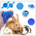 6-Piece Rabbit Grooming Kit with Shedding Slicker Brush, Bath Massage Glove, Nail Clipper, Flea Comb - Blue | For Bunny, Puppy, Kitten, Guinea Pig, Hamster, Ferret & Small Pets - Buy Online on GoSupps.com