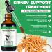 Kidney Support Treatment for Dogs 60ml Natural Support for Kidney Function Health Supplement - Buy Online on GoSupps.com
