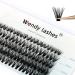 Individual Cluster Lashes D Curl 0.07mm Mixed 8-16mm 40 Root Cluster Eyelash Extensions Grafting Individual Cluster Eyelashes 40D DIY Lashes Clusters Lash Extensions(Clusters-40D-0.07-D-816) RR-8-16mm Clusters-40D-0.07-D
