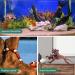 Natural Driftwood Aquarium Decor - Assorted Branches for Reptile/Fish Tank (2 Pack, 9-14 inch) - Buy Online on GoSupps.com
