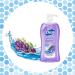 Dial Lavender & Jasmine Body Wash - 32 fl oz (Pack variations) | Shop Now - Buy Online on GoSupps.com