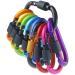 Karabiner keychain with screw cap screw carabiner carabiner hook for camping fishing hiking traveling outdoor (10 pieces) 10-pack