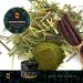 Redmint Herbal Tooth Cleansing Powder | Nourish Oral Health | 15 ml - International Shipping Available - Buy Online on GoSupps.com