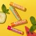 Burts Bees Freshly Picked Moisturizing Lip Balm Blister Pack for Unisex 4 x 0.15 oz Lip Balm Watermelon Sweet Mandarin Beeswax Cucumber Mint Multi-Color Freshly 1 count (Pack of 4) - Buy Online on GoSupps.com