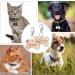 Natiform Stainless Steel Personalized Pet ID Tag - Engraved Dog Name Tags - Paw Print Design for Dogs/Cats - Gold - Buy Online on GoSupps.com