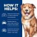 Hill's Prescription Diet Derm Complete Dry Dog Food 6.5 lb - Veterinary Diet for Skin & Food Sensitivities - Buy Online on GoSupps.com