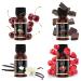 CraftZee Lip Balm Making Kit - DIY Lip Gloss with Natural Beeswax & Shea Butter - Complete Craft Kit for Adults - Buy Online on GoSupps.com