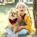 Dog Hooks with Red Skull Pattern | Triangular Cloth Bibs for Small Medium & Large Pets | 2-Piece Multi-Colored Set - Buy Online on GoSupps.com