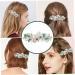 VINTORKY Crystal Hairpin Tocados Para El Hair Claw Clips Barrettes Bridal Hair Bridal Headwear Bridal Hair Accessories Wedding Hairpin Headgear - Buy Online on GoSupps.com