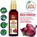 THE INDIE EARTH ADVANCED 3% REDENSYL RED ONION ANTI HAIR LOSS & HAIR GROWTH OIL WITH 32+ NATURAL INGREDIENTS 100ML FIRST TIME EVER WITH 3% REDENSYL MORE EFFECTIVE & BEST HAIR FALL CONTROL OIL Redensyl 3% Red Onion Hair Oil - Buy Online on GoSupps.com