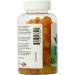 21st Century VitaJoy Omega + DHA Gummies - 120 Count for Brain & Heart Health - Buy Online on GoSupps.com