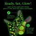 Welly Bandage Glow-in-the-Dark Refill Pack | 120 Count Adhesive Flexible Fabric Bandages | Assorted Shapes for Cuts & Scrapes - International Shipping Available - Buy Online on GoSupps.com