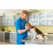 Vet's Advantage 100% Pure Boswellia Powder for Dogs - Supports Joint and Hip Health And Provides Natural Control of Pain and Inflammation for Dogs and Cats - Buy Online on GoSupps.com