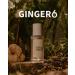 Ginger6 Face Serum - 70% Ginger Water Deep Hydration with Niacinamide and Hyaluronic Acid Revitalizing Korean Skincare for Glowing Skin 1 fl oz - Buy Online on GoSupps.com