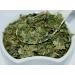 Common Birch Leaf Tea | Feuille De Bouleau Tisane | Folium Betulae | Health Embassy (100g) - Buy Online on GoSupps.com