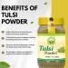 BASIC AYURVEDA Tulsi Powder 7.05 Oz (200g) | Holy Basil Leaf Powder for Tea, Skin Care & Hair | Supports Detox, Natural Energy, Daily Balance | Non-GMO, Vegan, Gluten-Free 7.05 Ounce (Pack of 1) - Buy Online on GoSupps.com