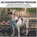 Dociote Anti-Zug Dog Harness - Safety Harness with Handle & Reflector for Medium & Large Dogs - Camouflage Blue (1 Pack) - Buy Online on GoSupps.com