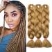 Tess Braids Extensions Blond 60 cm Jumbo Braids Kanecalon Kunsthaar for the single-laid box braids hair extension braid 100g/bundle of hair braids extension (1 piece honey blonde) 60 cm (1 piece) honey blonde