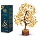 PYOR Aventurine Yellow Feng Shui Money Tree Crystals - Good Luck Energy Gemstones for Spiritual Decor - Buy Online on GoSupps.com