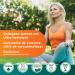 Genacol Turmeric Curcumin Supplement With Collagen & Black Pepper Bioperine | Relieves Joint Pain and Effectively Reduces Inflammation | Gentle on the Stomach | GENACOL ANTI-INFLAMMATORY 90 Capsules 90 count (Pack of 1) - Buy Online on GoSupps.com