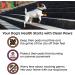 PawZ Dog Boots - Rubber Dog Booties - Waterproof Snow Boots for Dogs - Paw Protection for Dogs - 12 Dog Shoes per Pack (Black  X-Small) - Buy Online on GoSupps.com