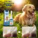 Wart Remover for Dog - Dog Wart Remover - Dog Skin Tags Dog Wart Remover - Skin Tag Removal Dog - Strong Warts Remover Dogs - Warts Removal Treatment - No Harm - Natural Ingredients (1) - Buy Online on GoSupps.com